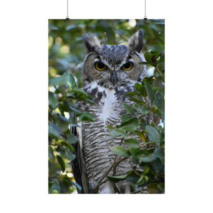 Great Horned Owl Poster Print 18"x24" and 24"x36"