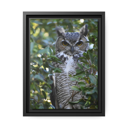 Great Horned Owl Canvas, Black Frame