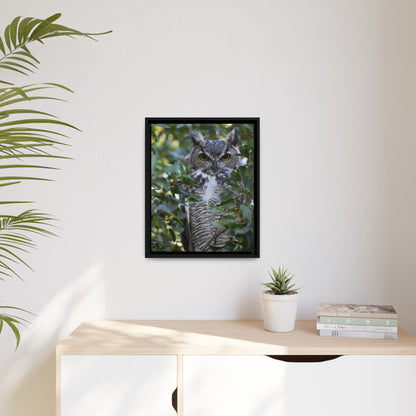 Great Horned Owl Canvas, Black Frame