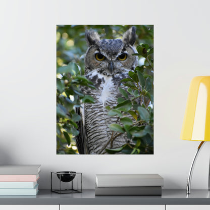 Great Horned Owl Poster Print 18"x24" and 24"x36"