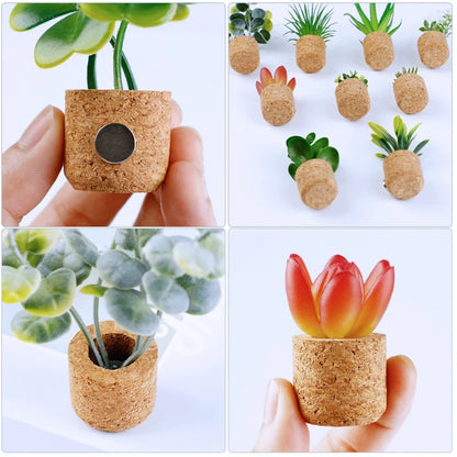 Cactus and Succulent Plant Magnets a 14 piece set