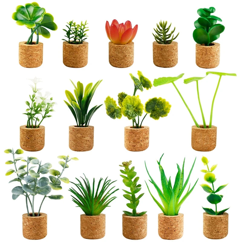 Cactus and Succulent Plant Magnets a 14 piece set